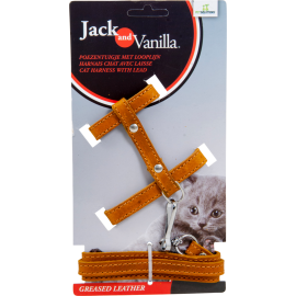 Harnais pour chat + laisse