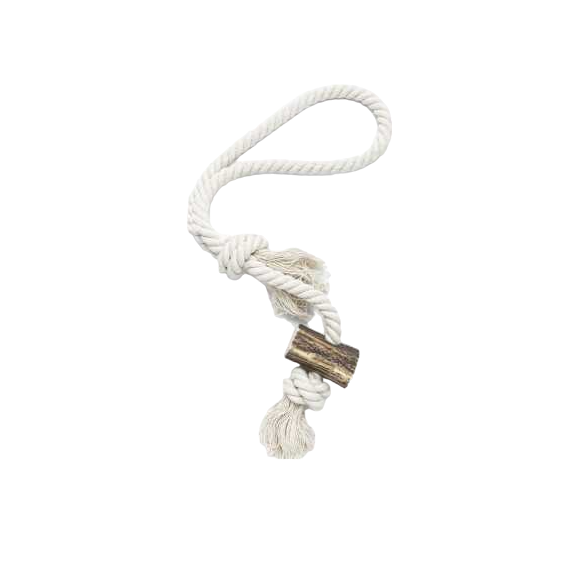 Natural and Interactive Toy – Stag Antler