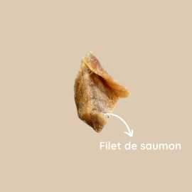 Échantillon Friandises Lyophilisées Chien & Chat – 7 Saveurs Naturelles