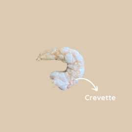 Échantillon friandises lyophilisées chien | 7 goûts naturels à découvrir