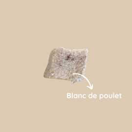 Échantillon friandises lyophilisées chien | 7 goûts naturels à découvrir