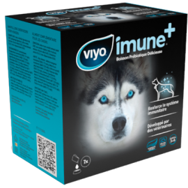 Prébiotiques chien et chat – Équilibre digestif & flore intestinale saine