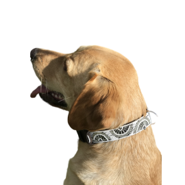Colliers Artisanaux en Cuir pour Chiens – Faits Main, Perles Authentiques & Doublure Confort