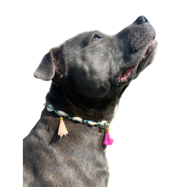 Collier pour chien avec coquillage décoratif et porte-médaille – Élégance naturelle
