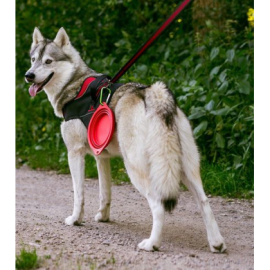 Gamelle Pliable pour Chien et Chat | Bol de Voyage Compact & Léger