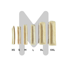 Bâtonnet à mâcher naturel pour chien