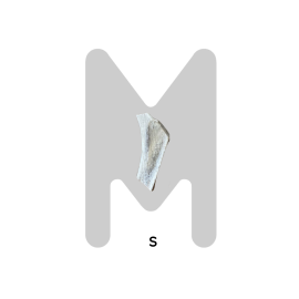 Bois de Cerf Tranché pour Chien – Mastication Ultra Résistante & Naturelle