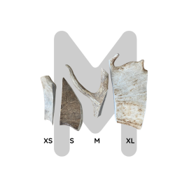 Bois de Daim pour Chien – Mastication Naturelle Longue Durée