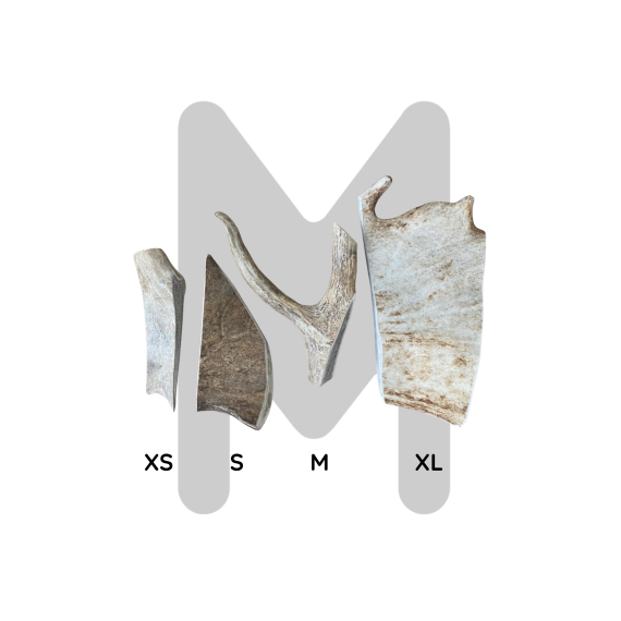 Deer Antler Chews for Dogs – Natural, Durable and Healthy