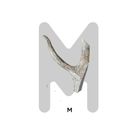 Bois de daim à mâcher pour chien | Friandise naturelle et longue durée