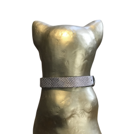 Collier pour Chat avec Élastique de Sécurité – Confortable & Anti-Étranglement