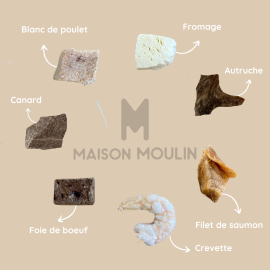 Échantillon friandises lyophilisées chien | 7 goûts naturels à découvrir