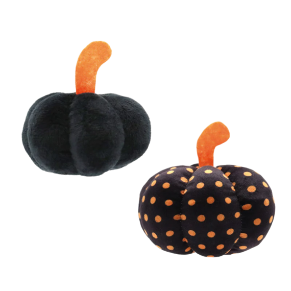 COLLECTION AUTOMNE CHAT