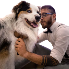 Peigne râteau pour chien et chat – Sous-poil et nœuds tenaces Peigne râteau pour chien et chat – Sous-poil et nœuds tenaces