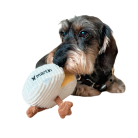 COLLECTION FRENCHIES - Le camembert