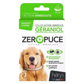 Collier antiparasitaire naturel chien – Protection continue sans produits chimiques