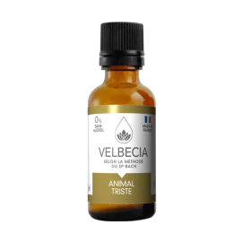 Fleurs de Bach pour chien et chat – Émotions & comportement équilibré