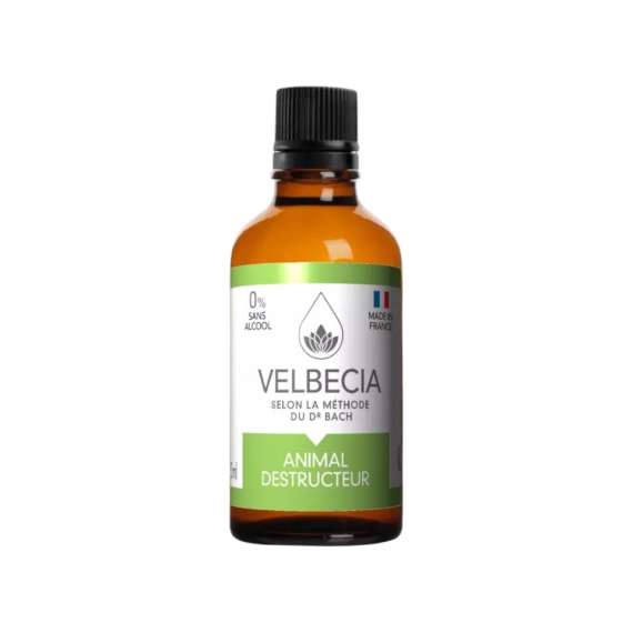 Bach Flower Remedies – Animal Behaviour