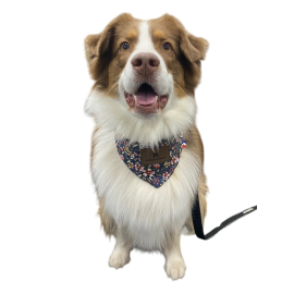 Bandana réversible pour chien – Laine chaude & velours côtelé Bandana réversible pour chien – Laine chaude & velours côtelé