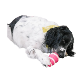 Jouet distributeur de pâtée pour chien – À mâcher, lécher et remplir