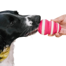 Jouet distributeur de pâtée pour chien – À mâcher, lécher et remplir