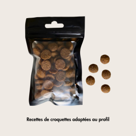 Pack Découverte Chien – Échantillons Croquettes, Friandises et Pâtée