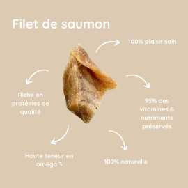 Friandise Naturelle Chien et Chat – Filet de saumon  Lyophilisé 110g