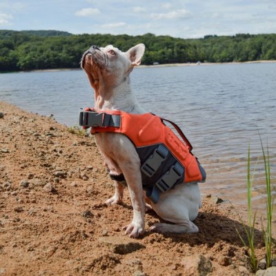 Gilet de Sauvetage pour Chien Flottant – avec Harnais et Bandes Réfléchissantes