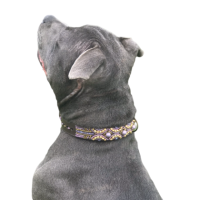 Collier pour chien en cuir véritable avec perles – Fabrication artisanale et confort optimal