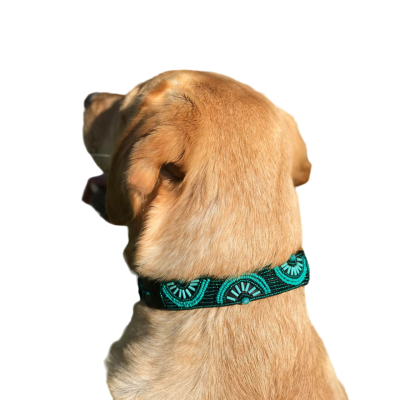 Colliers Artisanaux en Cuir pour Chiens – Faits Main, Perles Authentiques & Doublure Confort