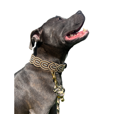 Colliers Artisanaux en Cuir pour Chiens – Faits Main, Perles Authentiques & Doublure Confort Colliers Artisanaux en Cuir pour Chiens – Faits Main, Perles Authentiques & Doublure Confort