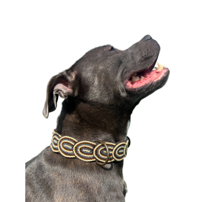 Colliers Artisanaux en Cuir pour Chiens – Faits Main, Perles Authentiques & Doublure Confort Colliers Artisanaux en Cuir pour Chiens – Faits Main, Perles Authentiques & Doublure Confort