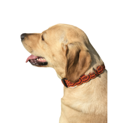 Colliers Artisanaux en Cuir pour Chiens – Faits Main, Perles Authentiques & Doublure Confort