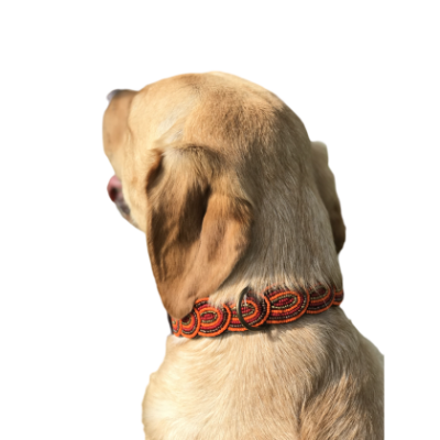 Colliers Artisanaux en Cuir pour Chiens – Faits Main, Perles Authentiques & Doublure Confort