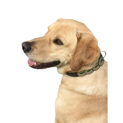 Colliers Artisanaux en Cuir pour Chiens – Faits Main, Perles Authentiques & Doublure Confort Colliers Artisanaux en Cuir pour Chiens – Faits Main, Perles Authentiques & Doublure Confort