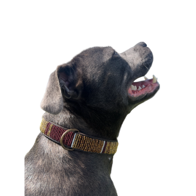 Colliers Artisanaux en Cuir pour Chiens – Faits Main, Perles Authentiques & Doublure Confort Colliers Artisanaux en Cuir pour Chiens – Faits Main, Perles Authentiques & Doublure Confort