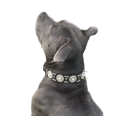 Collier en cuir souple perlé S/M