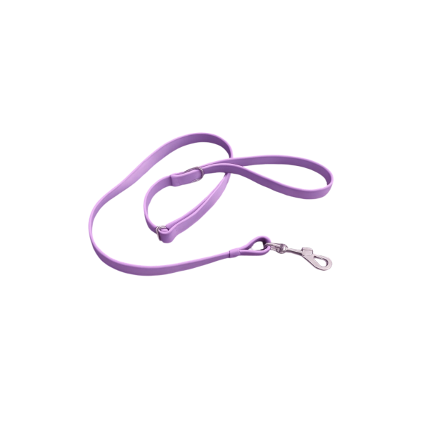 Laisse Biothane étanche & ajustable – Couleurs variées
