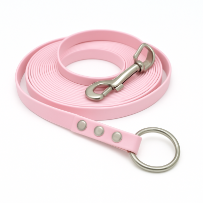 Rallonge Biothane 1,20 m – Mousqueton & anneau