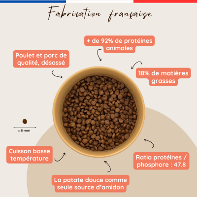 Croquettes chat actif & chaton – Poulet frais - Sans céréales – Fabrication Française