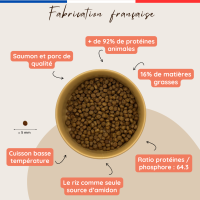 Croquettes PREMIUM au saumon frais pour chats adultes / âgés - Fabrication Française