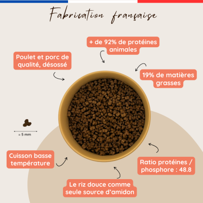 Croquettes pour chat actif ou chaton – Sans gluten, digestes, made in France Croquettes pour chat actif ou chaton – Sans gluten, digestes, made in France