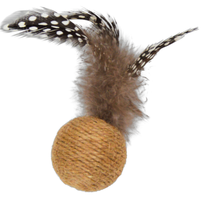 copy of Balle en corde