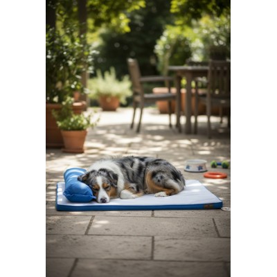 Matelas rafraîchissant pour chien et chat – Été sans coup de chaud