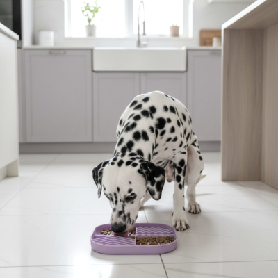 Tapis de léchage Multi-motifs - Chiens & Chats