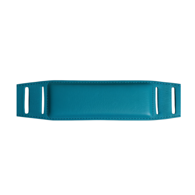 Renfort en cuir pour collier chien – 6 coloris au choix