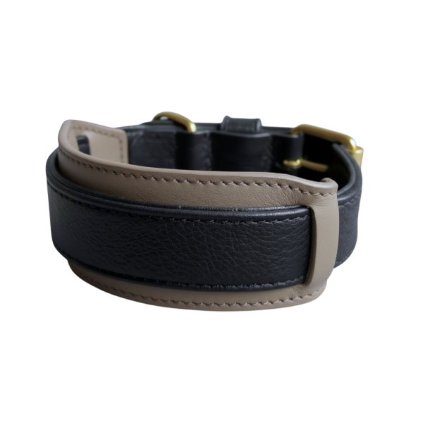 Collier en cuir premium personnalisable avec renforts