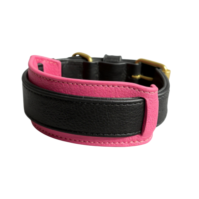 Collier cuir personnalisable avec pads multicolores pour chien