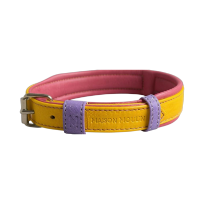 Bandana Safara