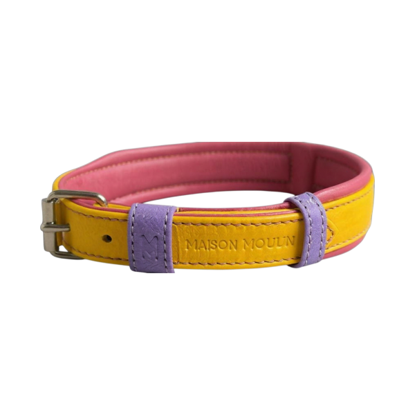 Collier en cuir confortable avec renfort intégré